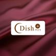 DISH-03.jpg