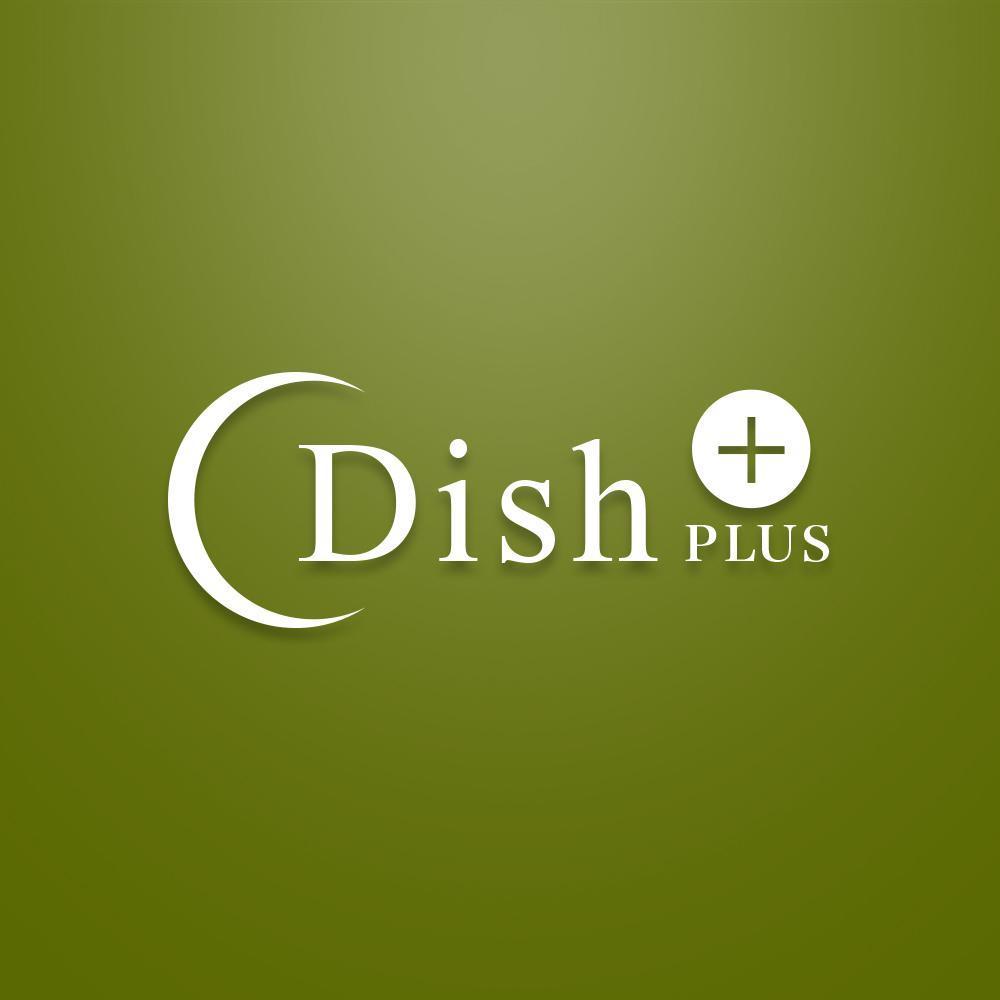 DISH-01.jpg