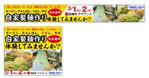 杉山　涼子 (sugiryo)さんのGDN用　製麺体験のバナーへの提案