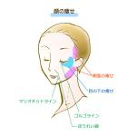 ヨギリリ (yogiriri)さんの美容外科サイト向けのイラスト作成への提案