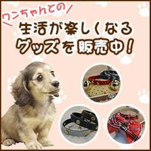 Donut_Design (donut_design)さんのペット用品を扱うネットショップのバナー画像制作への提案