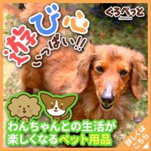TH-Design (TH-design)さんのペット用品を扱うネットショップのバナー画像制作への提案