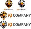 iqcompany3.jpg