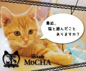 サンワールド (sunworldcrowd)さんの猫カフェMoCHAのイメージ広告用バナーへの提案