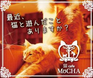 サンワールド (sunworldcrowd)さんの猫カフェMoCHAのイメージ広告用バナーへの提案