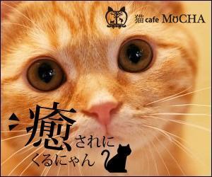 sky333 (sky333)さんの猫カフェMoCHAのイメージ広告用バナーへの提案