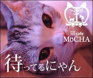 sky333 (sky333)さんの猫カフェMoCHAのイメージ広告用バナーへの提案