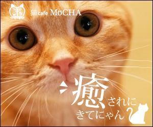 sky333 (sky333)さんの猫カフェMoCHAのイメージ広告用バナーへの提案