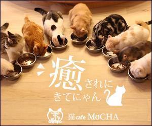 sky333 (sky333)さんの猫カフェMoCHAのイメージ広告用バナーへの提案