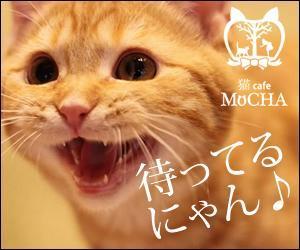 sky333 (sky333)さんの猫カフェMoCHAのイメージ広告用バナーへの提案
