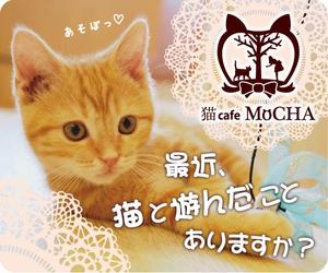 Harutiko (Harutiko)さんの猫カフェMoCHAのイメージ広告用バナーへの提案
