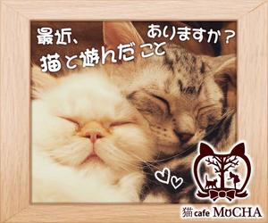 Harutiko (Harutiko)さんの猫カフェMoCHAのイメージ広告用バナーへの提案