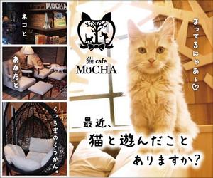Harutiko (Harutiko)さんの猫カフェMoCHAのイメージ広告用バナーへの提案