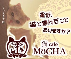 Harutiko (Harutiko)さんの猫カフェMoCHAのイメージ広告用バナーへの提案
