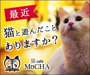 Gururi_no_kotoさんの猫カフェMoCHAのイメージ広告用バナーへの提案
