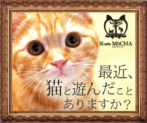 tatehama (tatehama)さんの猫カフェMoCHAのイメージ広告用バナーへの提案