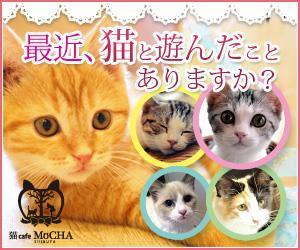 tatehama (tatehama)さんの猫カフェMoCHAのイメージ広告用バナーへの提案