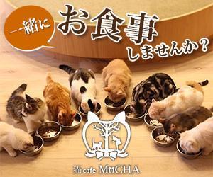 nisshy (nisshy)さんの猫カフェMoCHAのイメージ広告用バナーへの提案