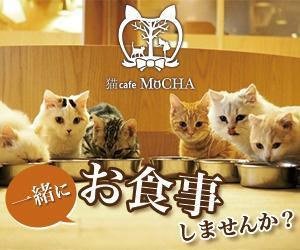 nisshy (nisshy)さんの猫カフェMoCHAのイメージ広告用バナーへの提案
