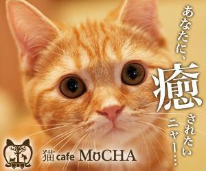 nisshy (nisshy)さんの猫カフェMoCHAのイメージ広告用バナーへの提案