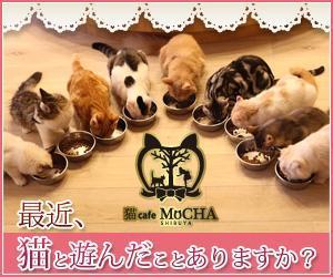 tatehama (tatehama)さんの猫カフェMoCHAのイメージ広告用バナーへの提案