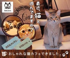 Puppy0717 (Puppy0717)さんの猫カフェMoCHAのイメージ広告用バナーへの提案