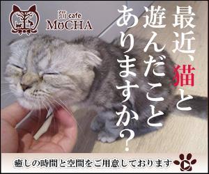 ミスター (bassmister)さんの猫カフェMoCHAのイメージ広告用バナーへの提案