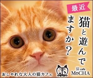 Gururi_no_kotoさんの猫カフェMoCHAのイメージ広告用バナーへの提案