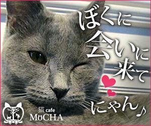 chipa41 ()さんの猫カフェMoCHAのイメージ広告用バナーへの提案