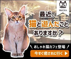 Darjeeling (Darjeeling6033)さんの猫カフェMoCHAのイメージ広告用バナーへの提案