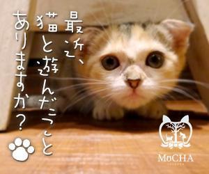 aine (aine)さんの猫カフェMoCHAのイメージ広告用バナーへの提案