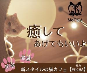 Ako ()さんの猫カフェMoCHAのイメージ広告用バナーへの提案