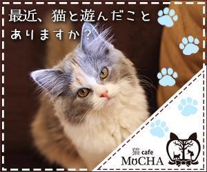 eコマース製作 (suomi710)さんの猫カフェMoCHAのイメージ広告用バナーへの提案