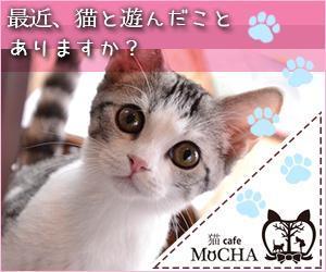 eコマース製作 (suomi710)さんの猫カフェMoCHAのイメージ広告用バナーへの提案