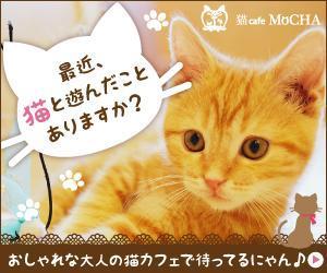 杉山　涼子 (sugiryo)さんの猫カフェMoCHAのイメージ広告用バナーへの提案