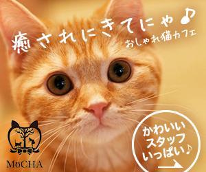 T_kintarou (T_kintarou)さんの猫カフェMoCHAのイメージ広告用バナーへの提案
