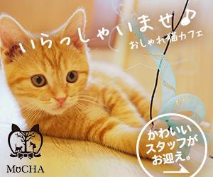 T_kintarou (T_kintarou)さんの猫カフェMoCHAのイメージ広告用バナーへの提案