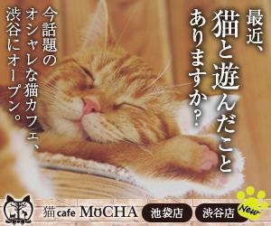 sumika (lala_suu)さんの猫カフェMoCHAのイメージ広告用バナーへの提案