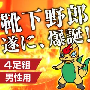 SHIBA5 (GO1980)さんの靴下野郎への提案