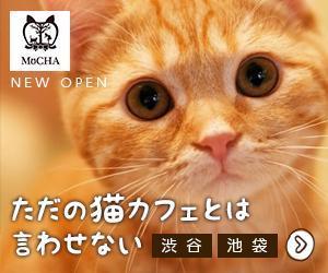 Puppy0717 (Puppy0717)さんの猫カフェMoCHAのイメージ広告用バナーへの提案