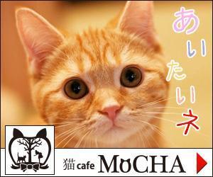 stepmew (stepmew)さんの猫カフェMoCHAのイメージ広告用バナーへの提案