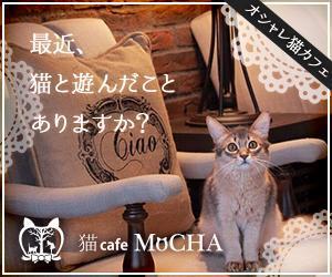 kawaccoさんの猫カフェMoCHAのイメージ広告用バナーへの提案