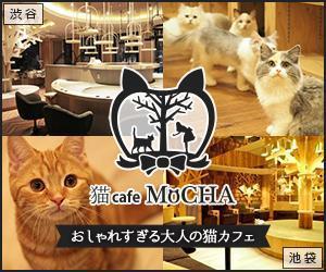 kawaccoさんの猫カフェMoCHAのイメージ広告用バナーへの提案