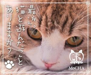 aine (aine)さんの猫カフェMoCHAのイメージ広告用バナーへの提案