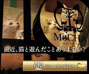 Sum (ssk01x)さんの猫カフェMoCHAのイメージ広告用バナーへの提案