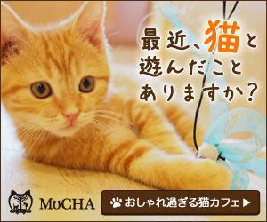 elimsenii design (house_1122)さんの猫カフェMoCHAのイメージ広告用バナーへの提案