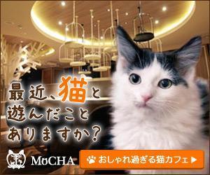 elimsenii design (house_1122)さんの猫カフェMoCHAのイメージ広告用バナーへの提案