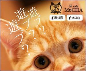 team John and Kz (hinatafuka)さんの猫カフェMoCHAのイメージ広告用バナーへの提案