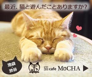 サカタサキ (sakimuu)さんの猫カフェMoCHAのイメージ広告用バナーへの提案