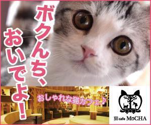 宮里ミケ (miyamiyasato)さんの猫カフェMoCHAのイメージ広告用バナーへの提案